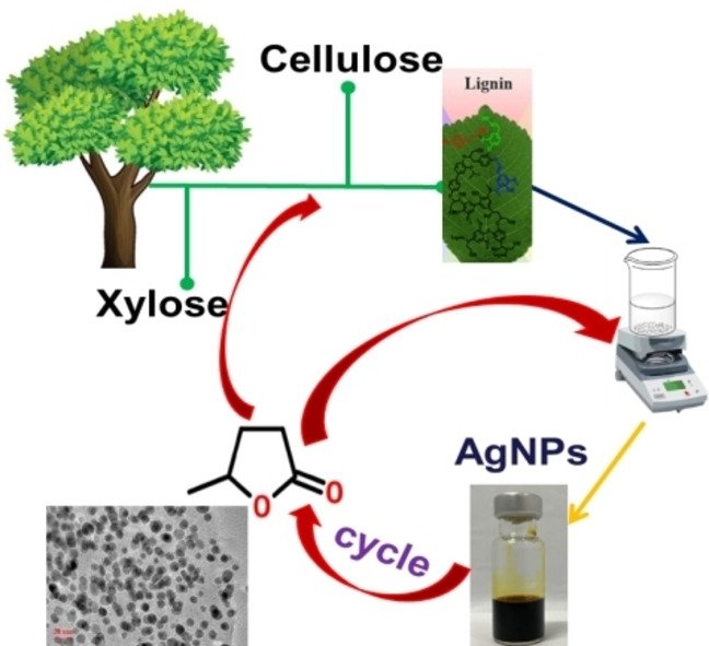 Gamma Valerolactone (GVL)